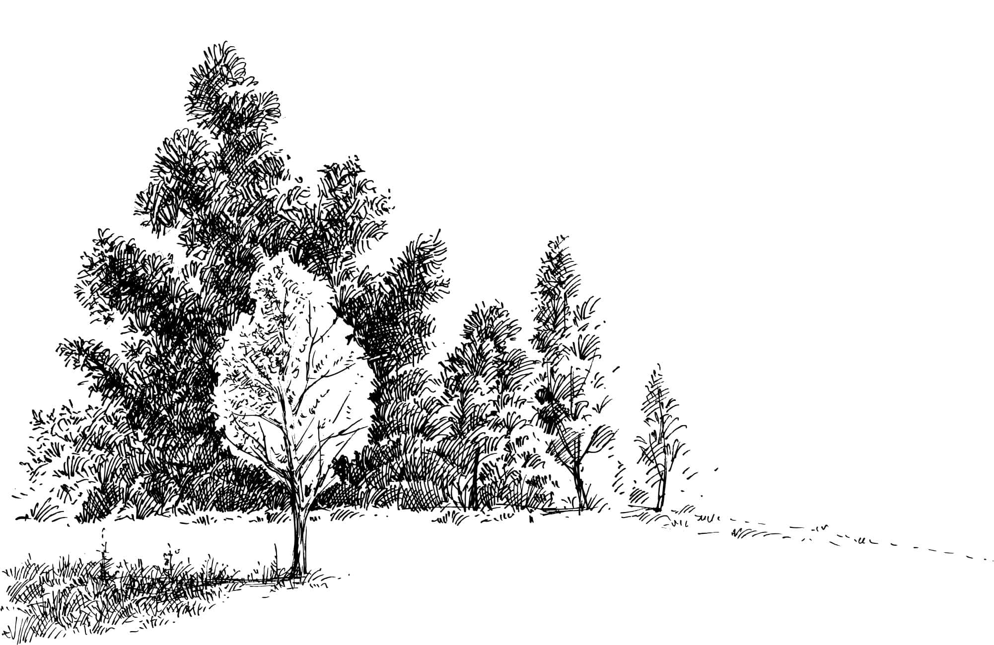 Nature scene with trees and grass in black and white sketch style.