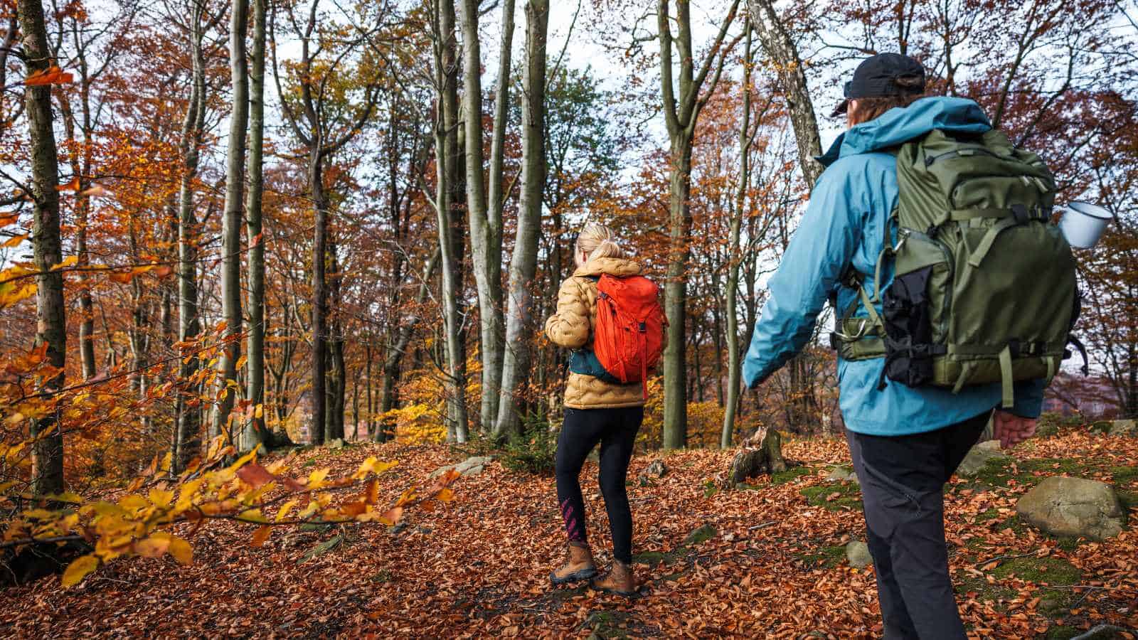 Hiking in autumn forest with two people walking along a leaf-covered trail.