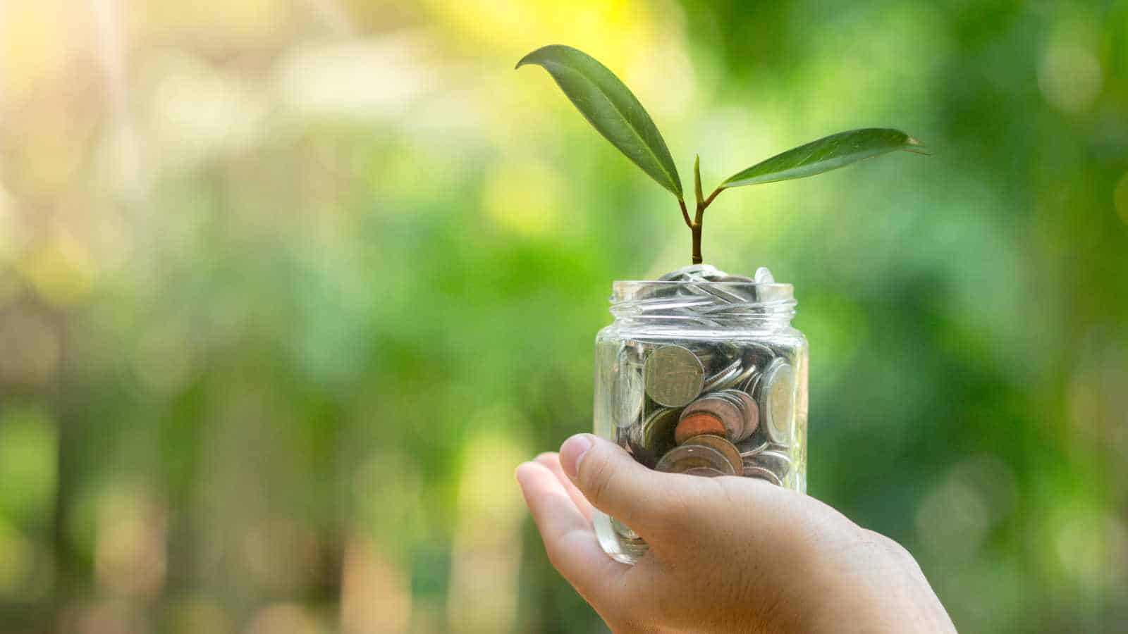 Hand holding a jar with coins and a small plant symbolizing eco-friendly growth.